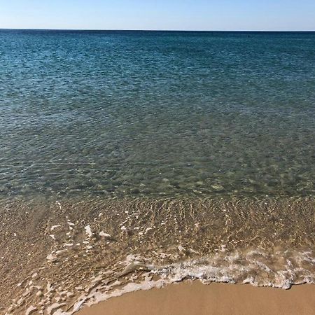 Magnifique Appartement Vue Mer Nabeul Luaran gambar